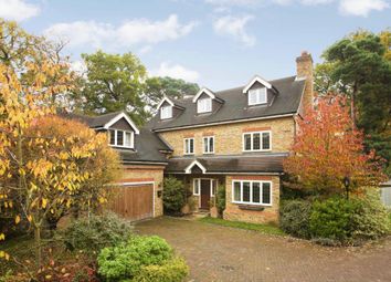 6 Bedroom Detached house for rent