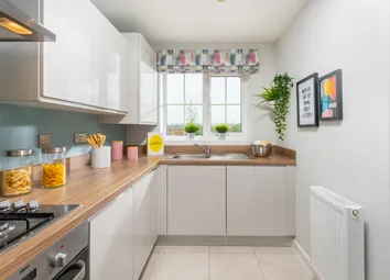 Showhome Photography