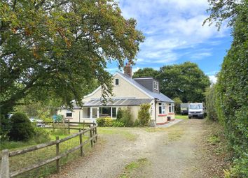 Thumbnail 4 bed detached house for sale in Highampton, Beaworthy, Devon