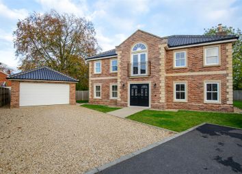 Thumbnail 4 bed detached house for sale in Chestnut Drive, Attleborough