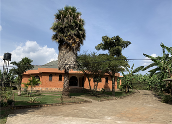 Thumbnail 4 bed country house for sale in Fort Portal, Uganda