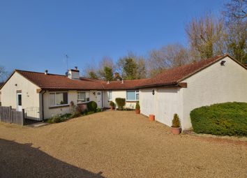 Thumbnail Detached bungalow for sale in Graffham, Petworth