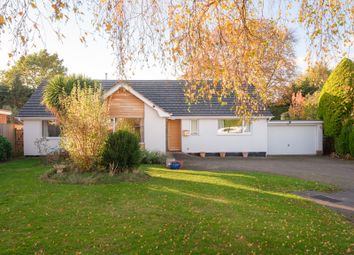 Thumbnail Bungalow for sale in The Avenue, Charlton Kings, Cheltenham, Gloucestershire