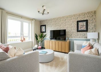 Enjoy Cosy Nights In Front Of The TV