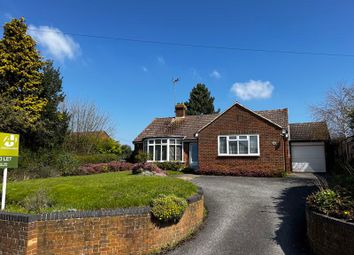 Thumbnail Detached bungalow to rent in Old Dover Road, Canterbury