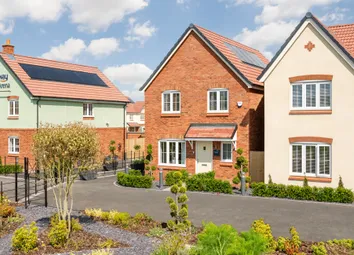Showhome Photography