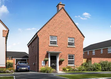 Curborough Fields Hazelborough Plot 141