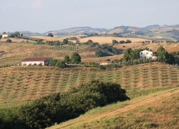 Thumbnail 3 bed farmhouse for sale in Campagnatico, Umbria, 053002, Italy