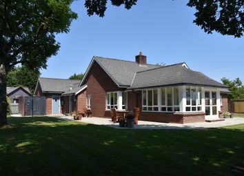 Thumbnail 3 bed detached bungalow for sale in Fynnon Wen, Waungiach, Llechryd