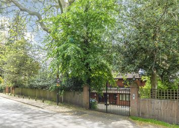 Thumbnail Detached house to rent in Bathgate Road, Wimbledon