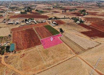 Thumbnail Land for sale in Avgorou, Famagusta, Cyprus