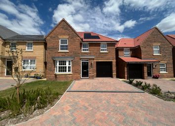 External