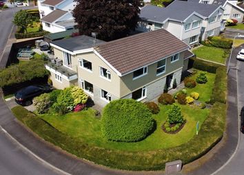 Thumbnail Detached house for sale in Ffrwd Vale, Bryncoch, Neath