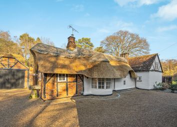Thumbnail Detached house to rent in Gracious Pond Road, Chobham, Woking, Surrey