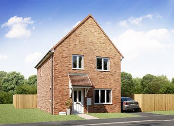 Thumbnail 3 bedroom detached house for sale in "The Melford" at Parklands, South Molton