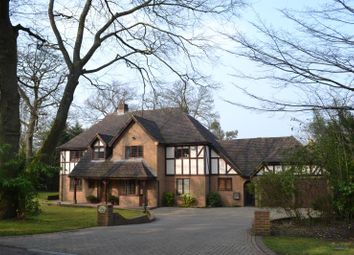 5 Bedroom Terraced house for rent