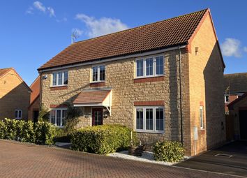 Thumbnail Detached house for sale in Luffield Close, Eye, Peterborough