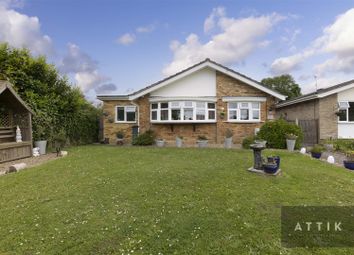 Thumbnail Detached bungalow for sale in Greenbank, Halesworth