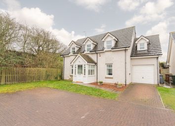 Thumbnail 4 bed detached house to rent in Standingstane Road, South Queensferry, Edinburgh