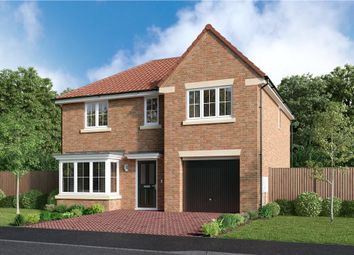 Thumbnail 4 bedroom detached house for sale in "The Maplewood" at Off Durham Lane, Eaglescliffe