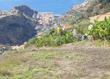 Thumbnail Land for sale in 9350 Ribeira Brava, Portugal