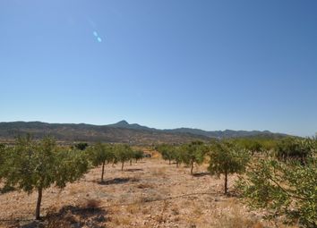 Thumbnail Land for sale in 30648 Macisvenda, Murcia, Spain