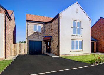 Thumbnail Detached house for sale in The Chestnut, Plot 17, Middleton Waters