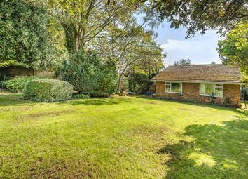 Thumbnail Detached bungalow for sale in Warren Close, Sandhurst, Berkshire