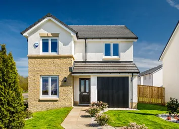 Discover The 4 Bedroom Douglas