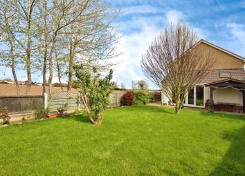 Thumbnail Detached house for sale in Havengore Close, Great Wakering, Southend-On-Sea, Essex