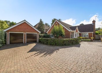 Thumbnail Detached bungalow for sale in Kings Chase, Willesborough, Ashford