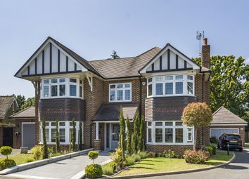 Thumbnail Detached house to rent in Langham Close, Bromley