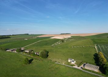 Auckland Farm