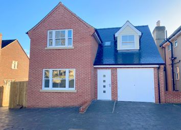 Thumbnail Detached house to rent in Queens Close, Sudbury