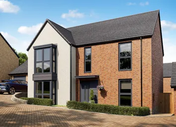 The Cottingham Plot 360.Jpg