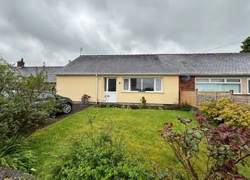 Thumbnail Semi-detached bungalow for sale in Alltyblacca, Llanybydder