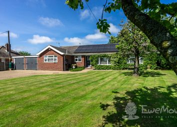 Thumbnail 4 bed detached bungalow for sale in Knapton Green, Knapton, North Walsham, Norfolk