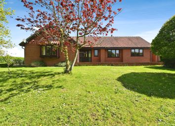 Thumbnail Detached bungalow for sale in Church Street, Occold, Eye