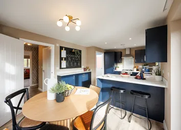 Spruce Kitchen 2