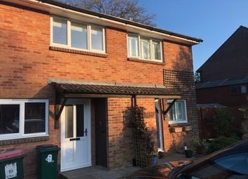 2 Bedroom  for rent