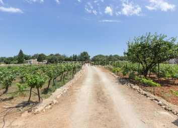 Thumbnail 5 bed cottage for sale in Biniparrell, Sant Lluís, Menorca