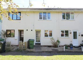 Thumbnail Terraced house to rent in Haydock Avenue, Hereford