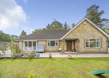 Thumbnail Bungalow to rent in Newhouse Lane, Pulborough, West Sussex