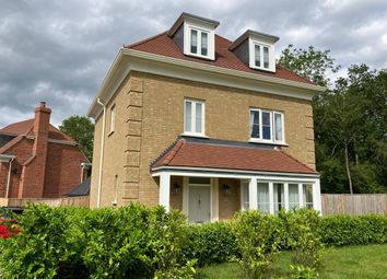 Thumbnail Detached house to rent in Lushington Drive, Barnet