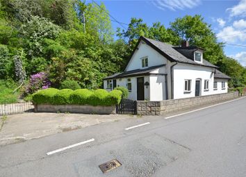 Thumbnail Cottage for sale in Canal Road, Newtown, Powys