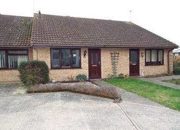 1 Bedroom  for rent