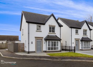 Thumbnail 3 bed detached house for sale in 16 Moncrief, Eglinton, Derry