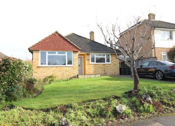 Thumbnail Bungalow to rent in Orchard Close, Normandy, Guildford