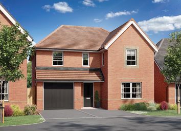 Thumbnail 4 bedroom detached house for sale in "Hale" at Cardamine Parade, Stafford