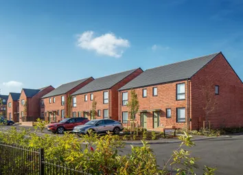 Dandara - Zoopla -